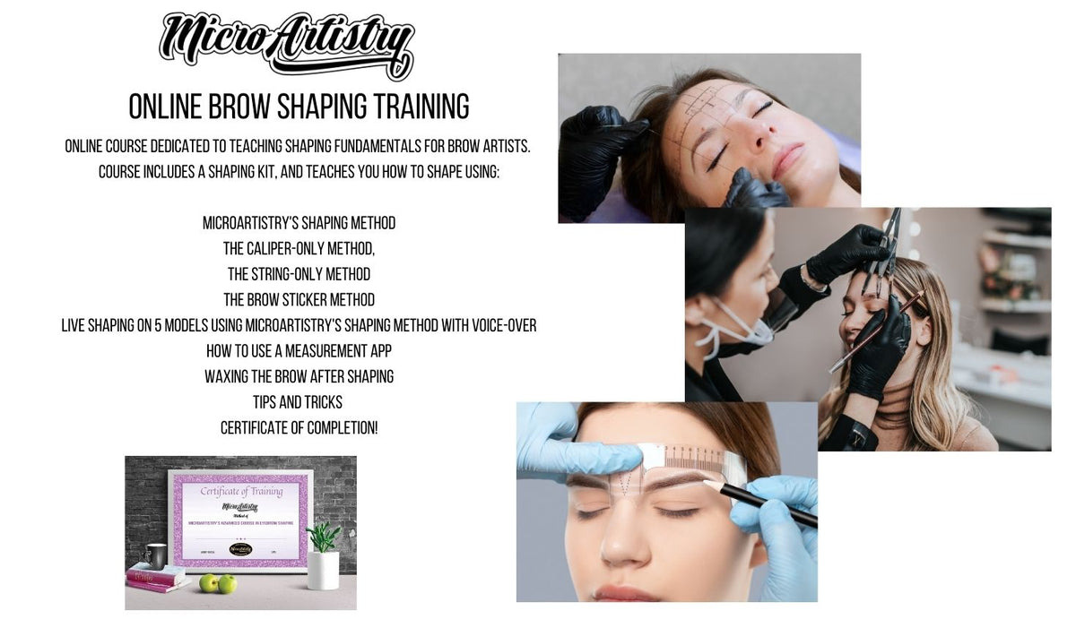Microartistry Brow Mapping Class