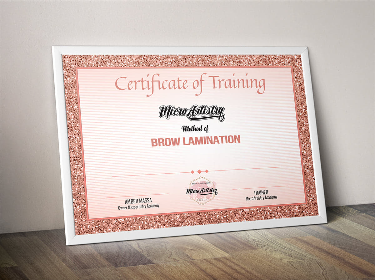 MicroArtistry Brow Lamination and Bronsun Tint Course