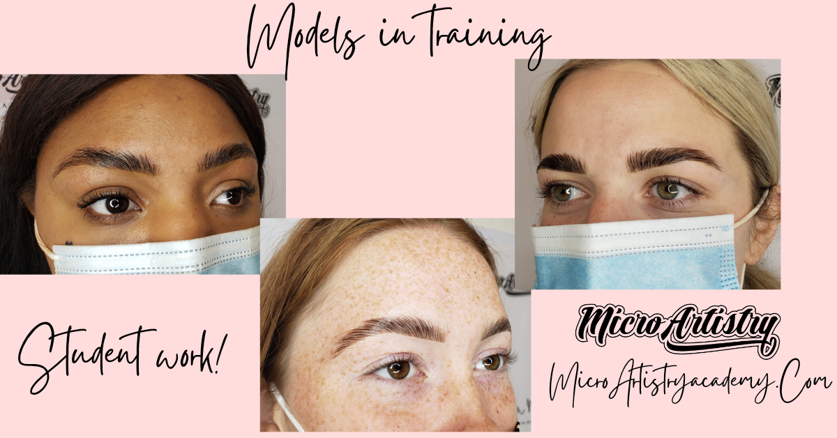MicroArtistry Brow Lamination and Bronsun Tint Course